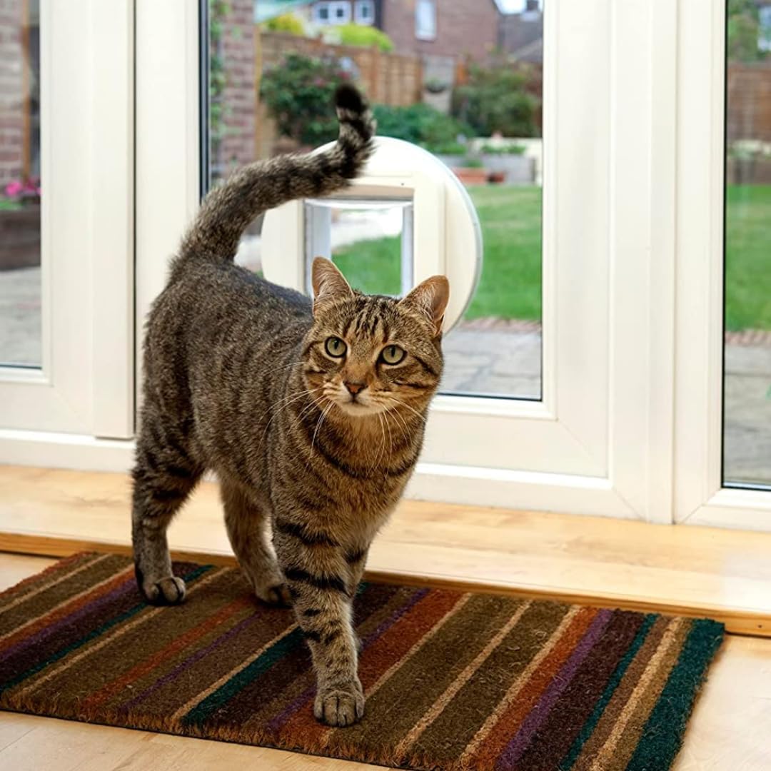 Sure Petcare SureFlap Microchip Cat Flap, RFID Collar Tags and Microchip Compatible, One-Button Control, Install in Doors, Windows and Walls, White, 4 x AA Batteries Required, Not Included